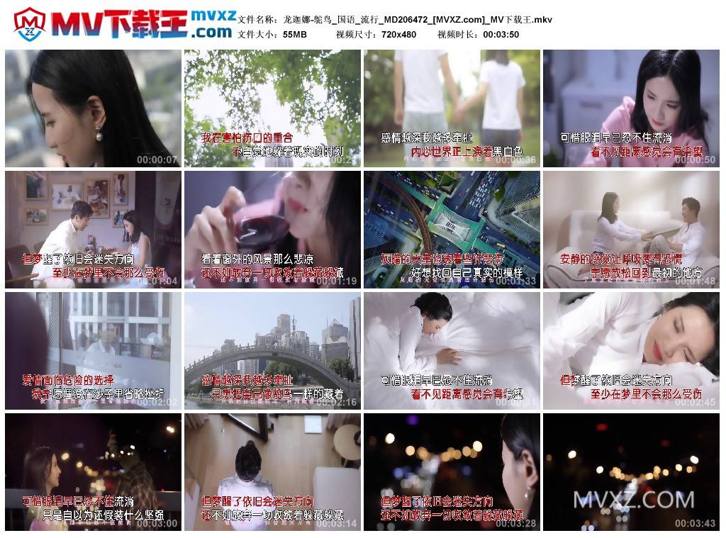 龙迦娜-鸵鸟_国语_流行_MD206472